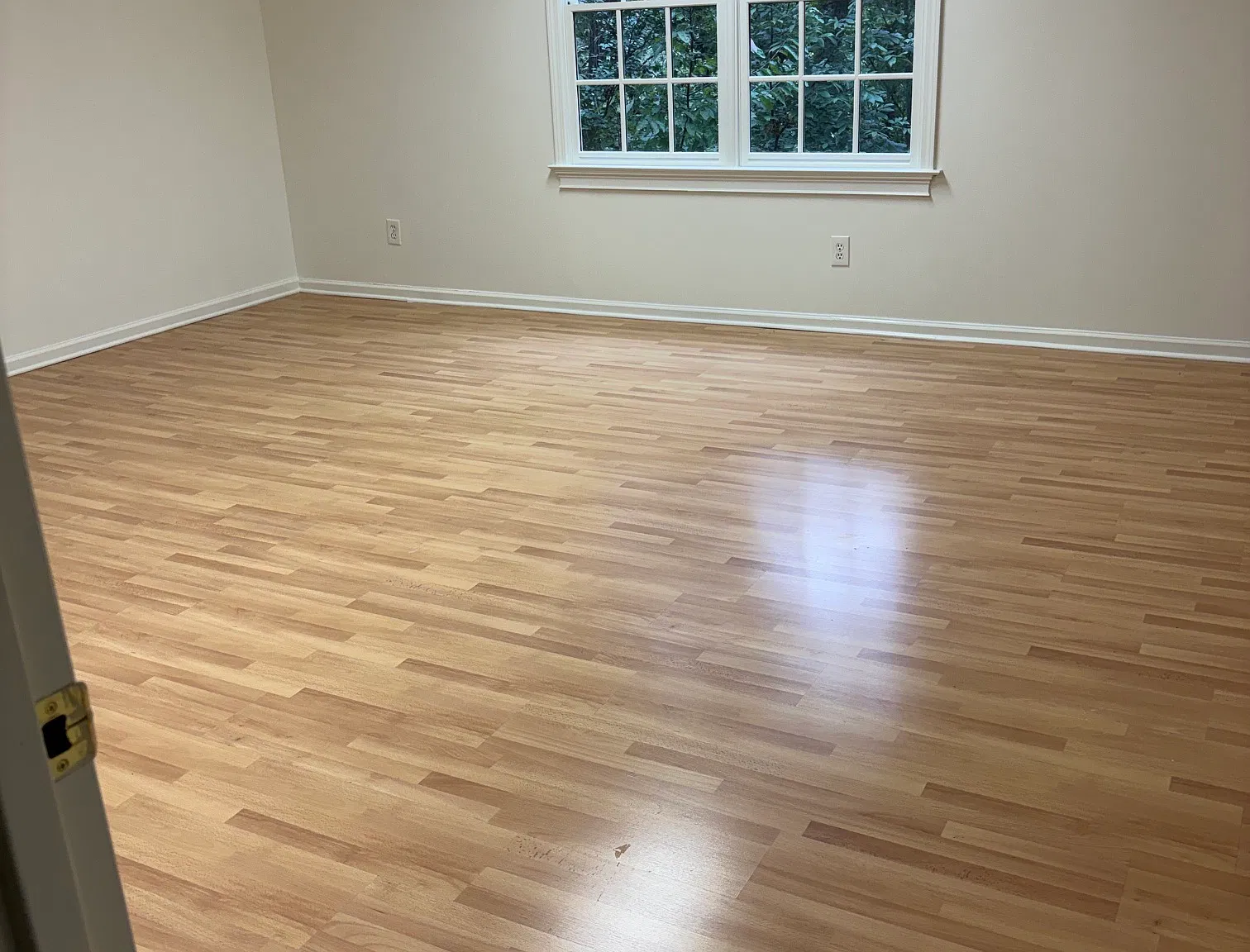 1 bed, 1600 sqft, $2,500 — Photo 4