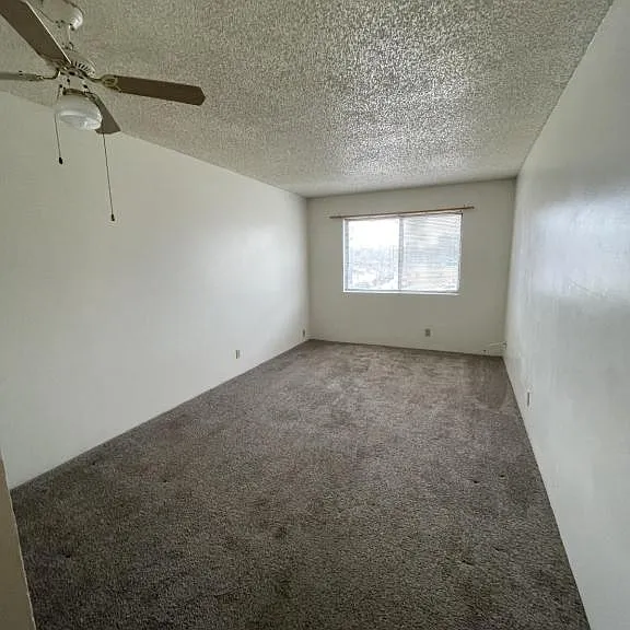 1315 D St #9 — Photo 4