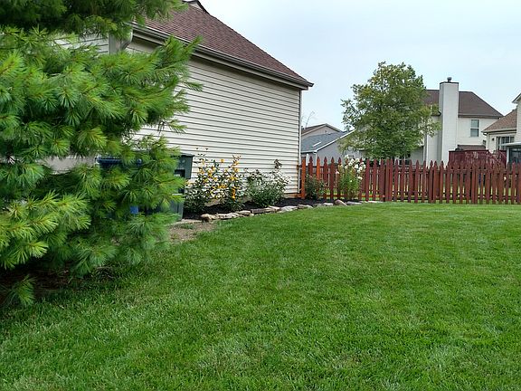 Fenced Back Yard