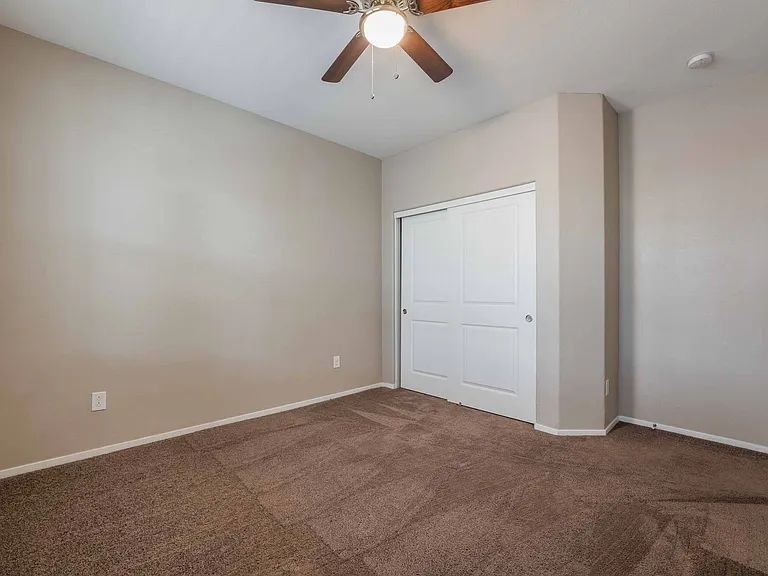 432 Cadence View Way — Photo 19