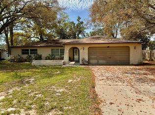 1175 Macfarlane Ave, Spring Hill, FL 34608