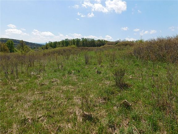 5th image of 260 Boughton Rd