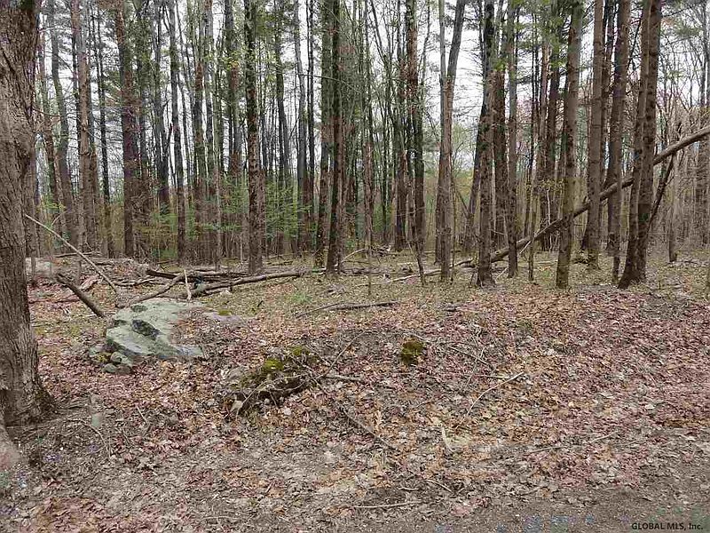 3rd image of 00 WEBSTER HILL Road