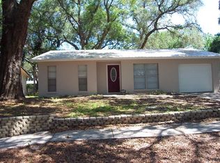 9722 Hidden Oaks Cir, Tampa, FL 33612