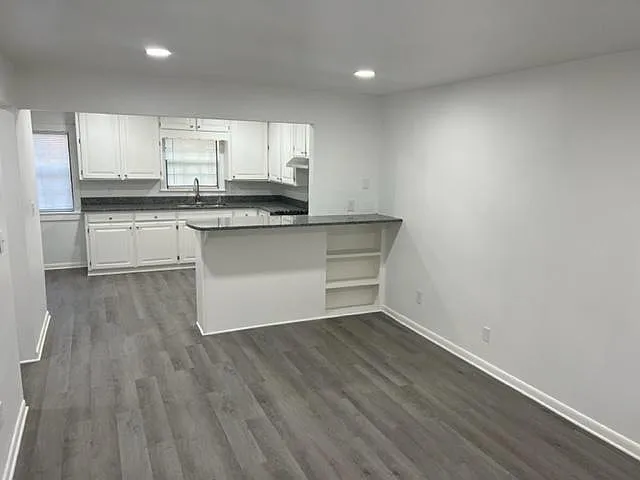 1 bed, 728 sqft, $1,000 — Photo 2