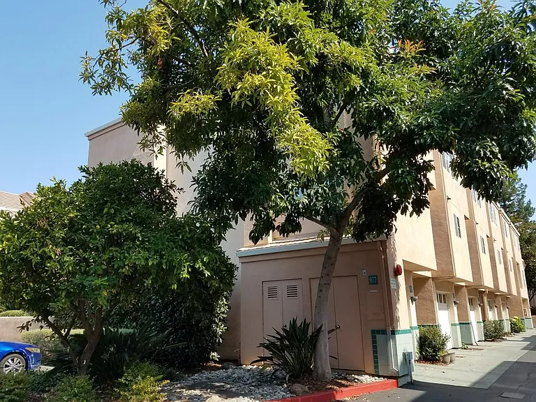 Community trees