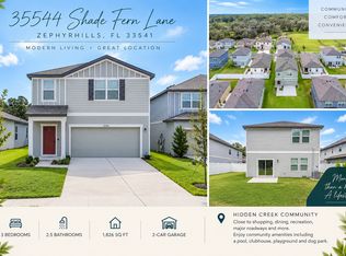 35544 Shade Fern Ln, Zephyrhills, FL 33541