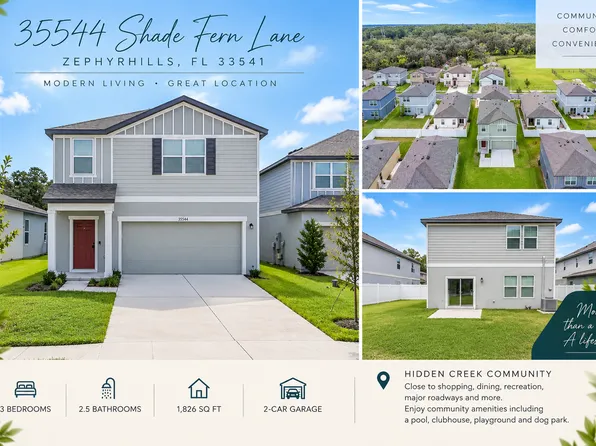 35544 Shade Fern Ln, Zephyrhills, FL 33541
