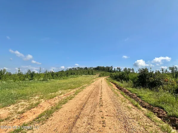2 Will Womack Rd, Mantee, MS 39751