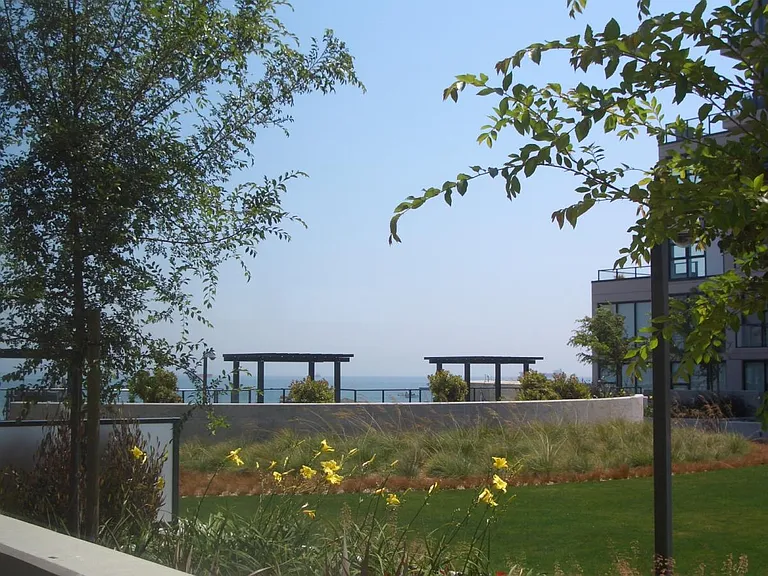 Patio View