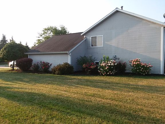 Side yard / rose garden