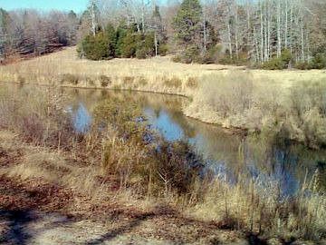 2nd image of 11939 County Road 3612