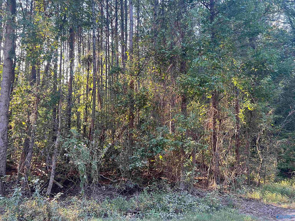 2nd image of County Road 84