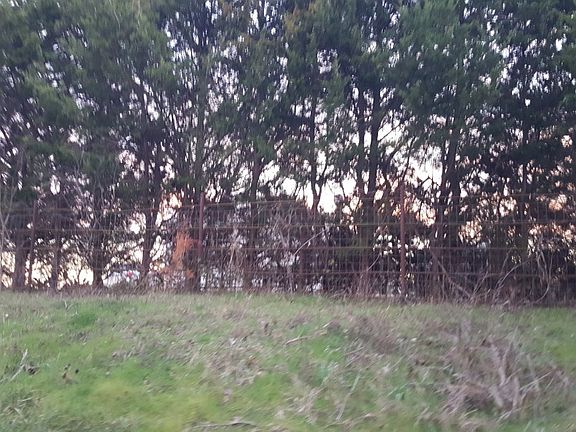 2nd image of 3824 County Road 4605