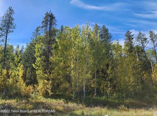 24 Blackfoot Trl, Victor, ID 83455