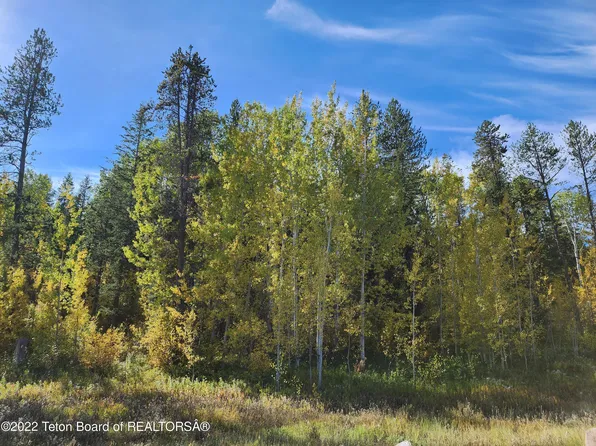 24 Blackfoot Trl, Victor, ID 83455