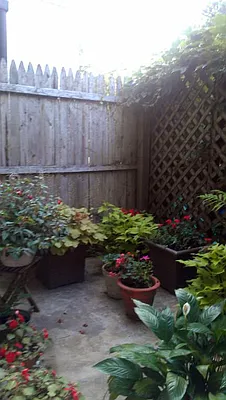 Rented by Brooklyn Bridge | media 21