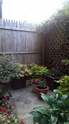 Rented by Brooklyn Bridge