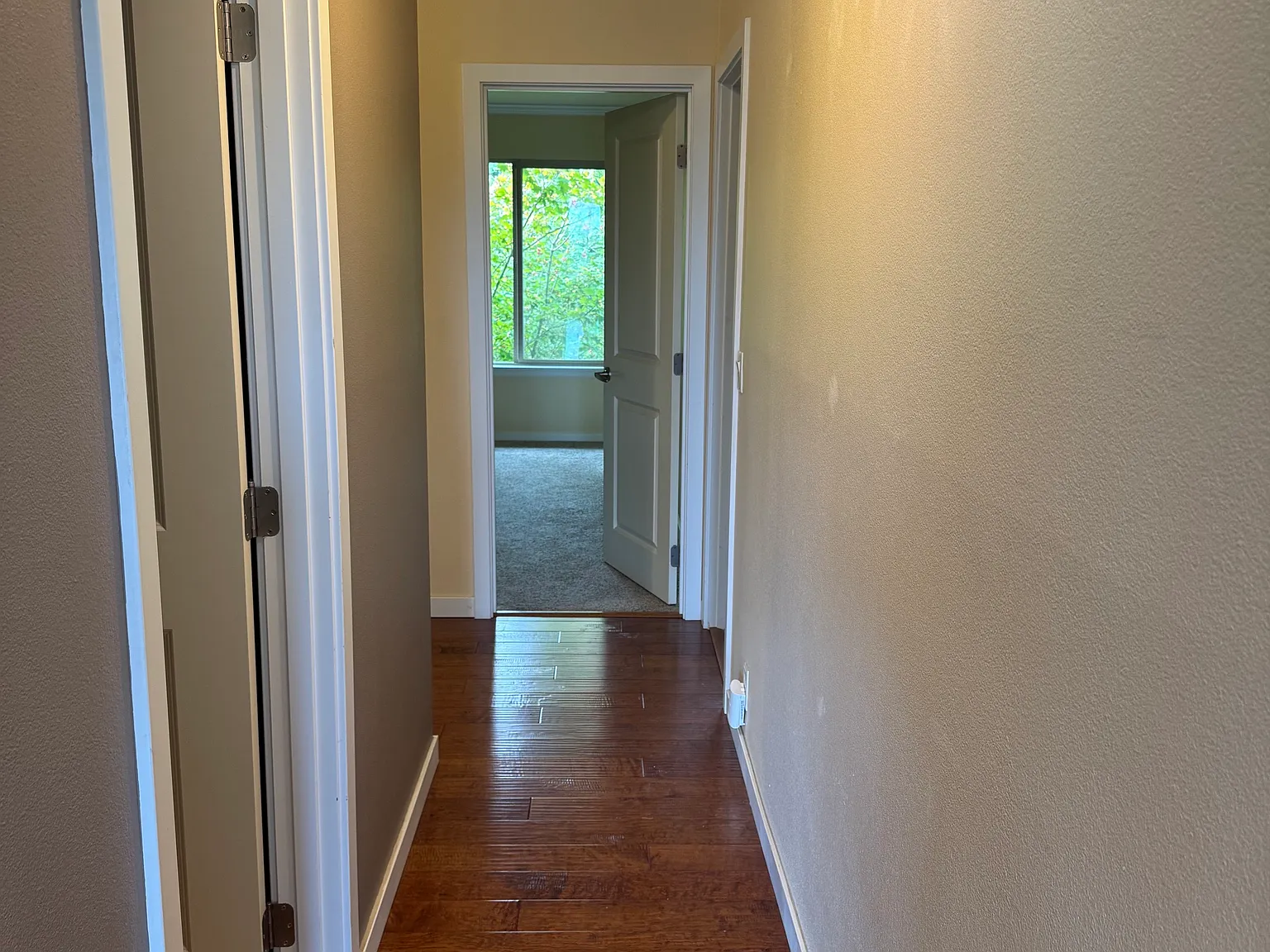 4310 Blue Heron Cir — Photo 4