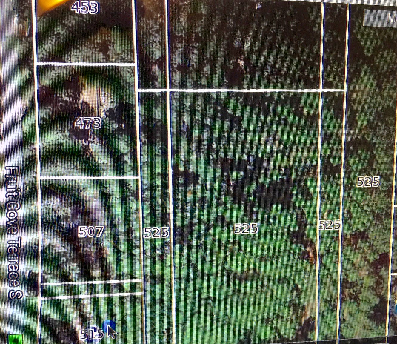 525 Fruit Cove, Saint Johns, FL 32259 Zillow