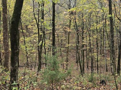 0 Hills Trace Rd Lot 2, Morrison, TN, 37357