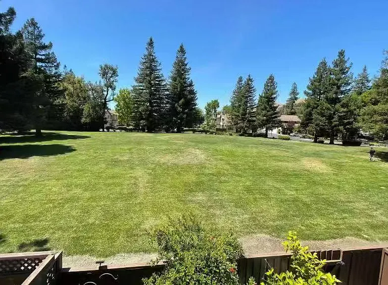 65 Harvey Ter — Photo 12