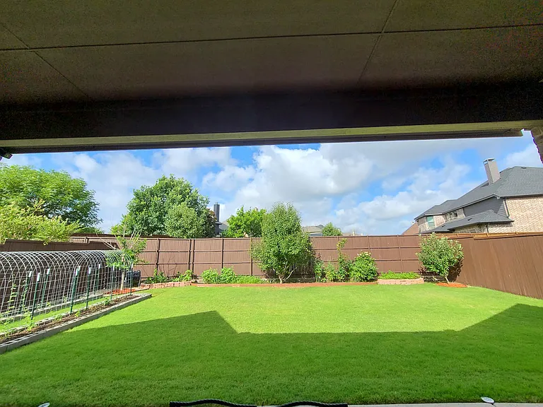 Backyard 1a