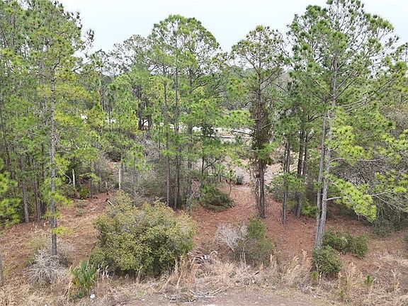 2nd image of 1256 WAHNETA DRIVE LOT 4