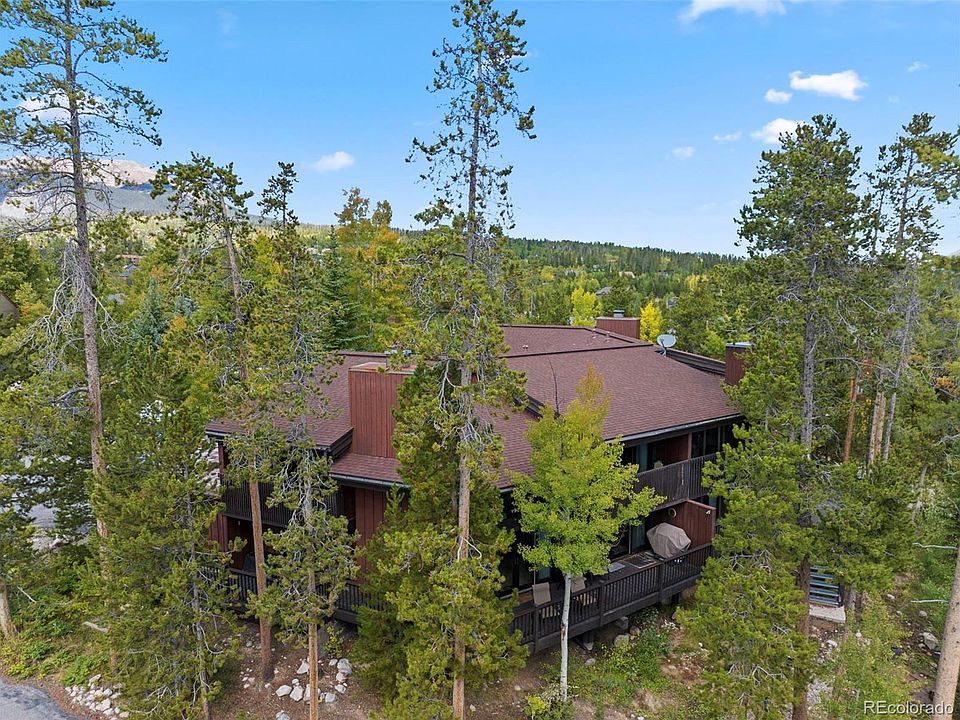84 Salt Lick Circle, Silverthorne, CO 80498 MLS 7555108 Zillow