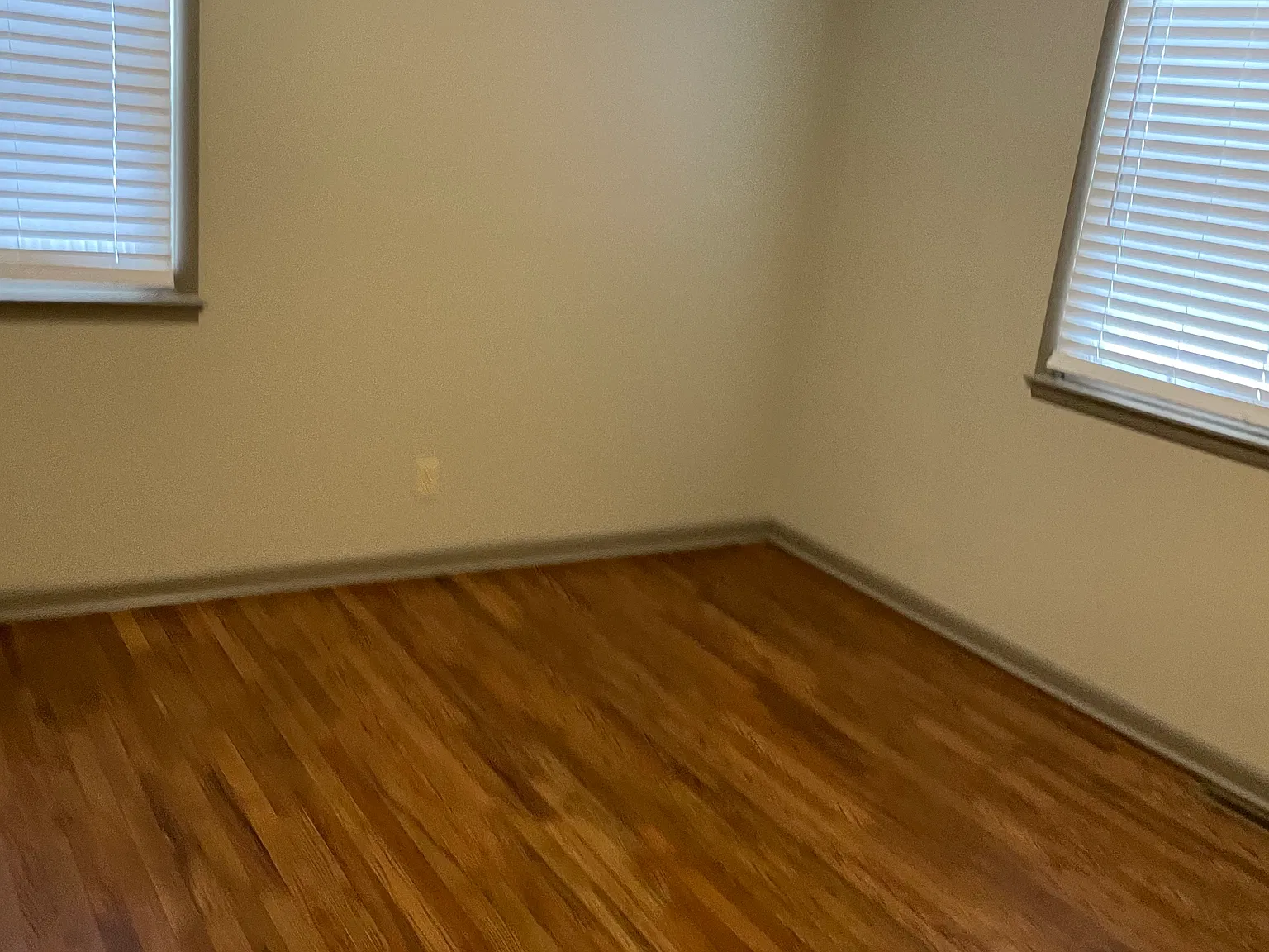 2 bed, 900 sqft, $1,600 — Photo 4