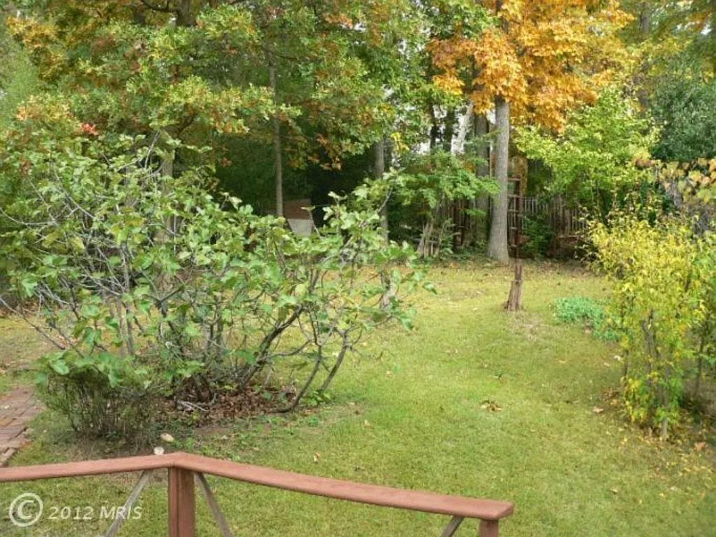 backyard - 4955 25th St S
