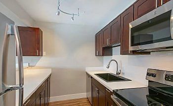 1st image of 1142 Wheaton Way APT 203