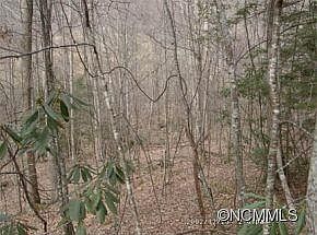 1st image of 49 Cabin Creek Trl