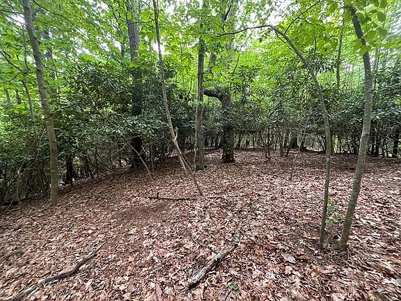 5th image of 0 Old Hollow Trl