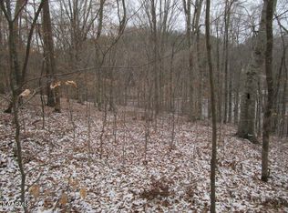 Nicely Ridge Cir, Washburn, TN 37888