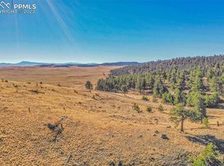 200 Loft Way, Hartsel, CO 80449