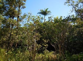 Road 5 LOT 4061, Kurtistown, HI 96760