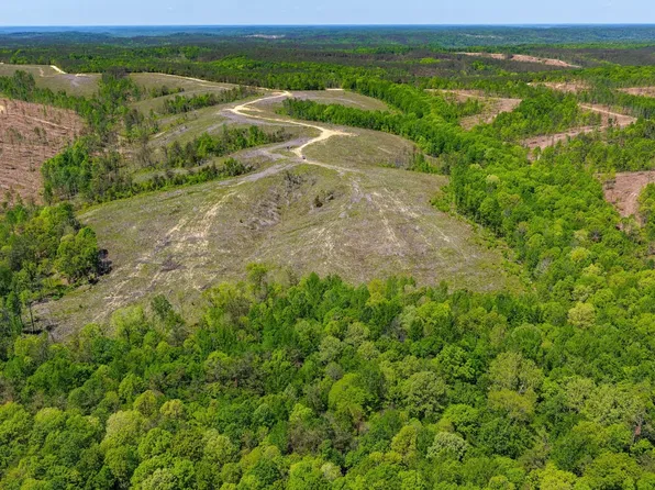 0 Bromley Rd, Waynesboro, TN 38485