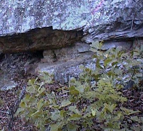 3rd image of 4055 Road