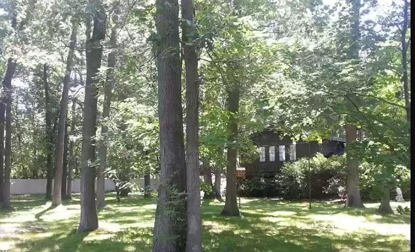 1st image of 3933 E Apple Ave