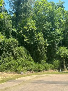 7142 Soaring Oaks Cv, Walls, MS, 38680