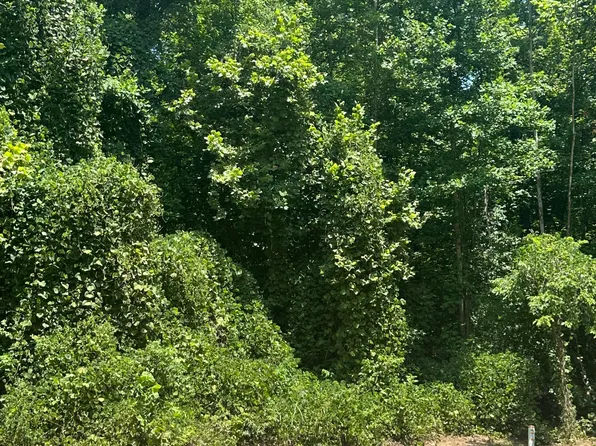 7142 Soaring Oaks Cv, Walls, MS 38680