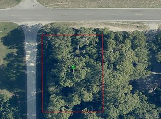 3059 S Portland Ter, Homosassa, FL 34448