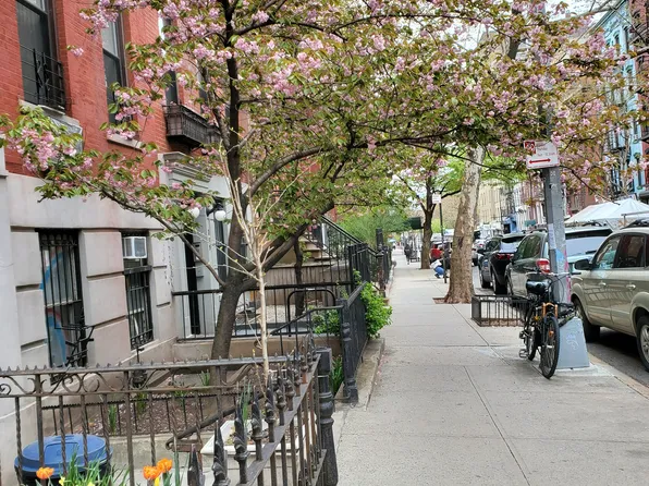 316 East 6th Street 11 image 1 of 6