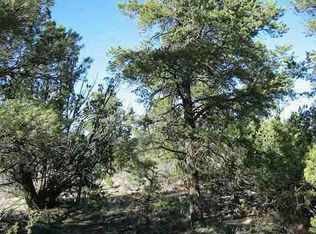 2056 E Rendezvous Pine Dr, Overgaard, AZ 85933