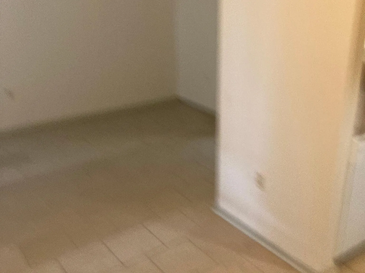 248 Steele Blvd — Photo 3