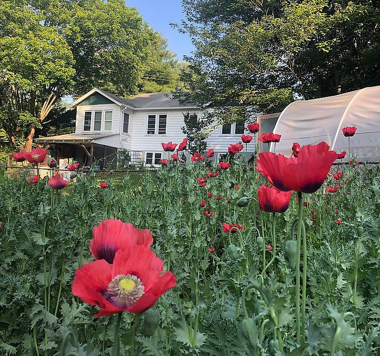1st image of 60 Hi Alta Ave