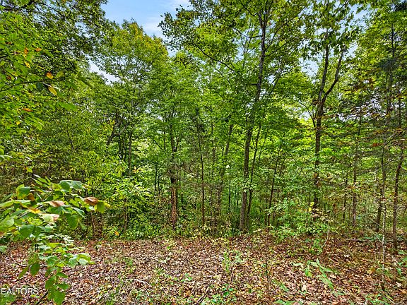 5th image of 27 Timber Ridge Ln