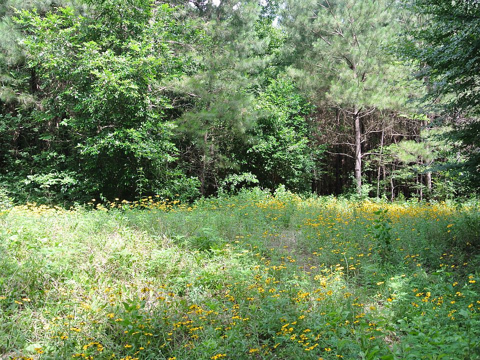 1st image of 1013 County Road 615