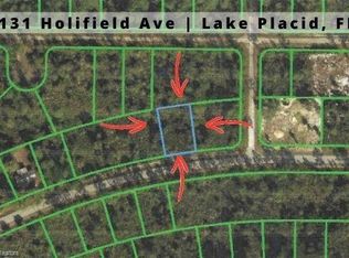 3131 Holifield Ave, Lake Placid, FL 33852